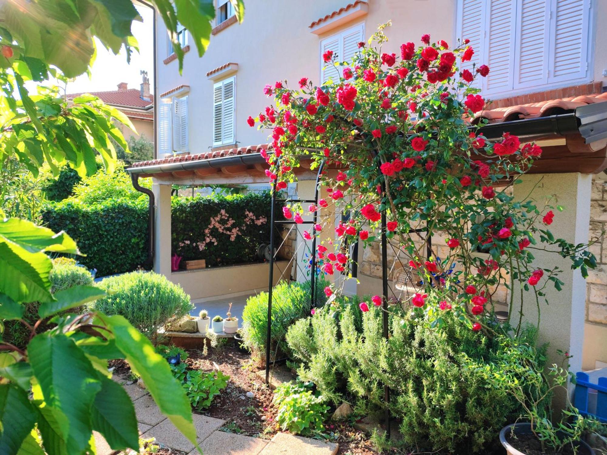 House Apartment Torretta Риека Экстерьер фото