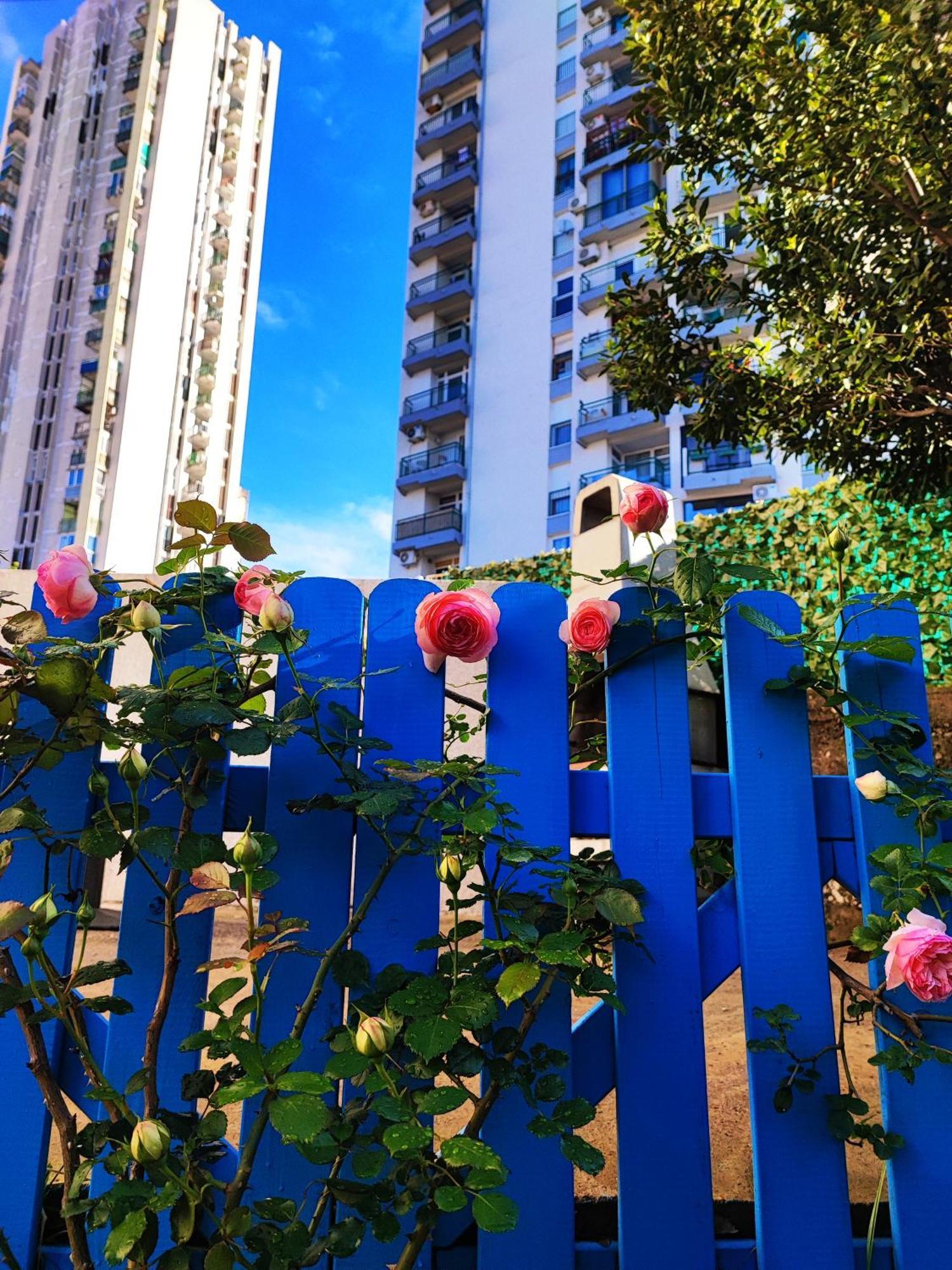 House Apartment Torretta Риека Экстерьер фото